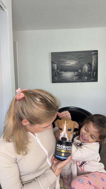 My dogs usually refuse supplements, but they absolutely love these probiotic chews.