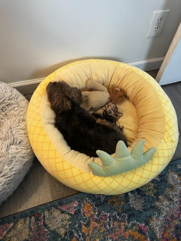 Squishmallow Pineapple Bed – The Fuzzy Paw