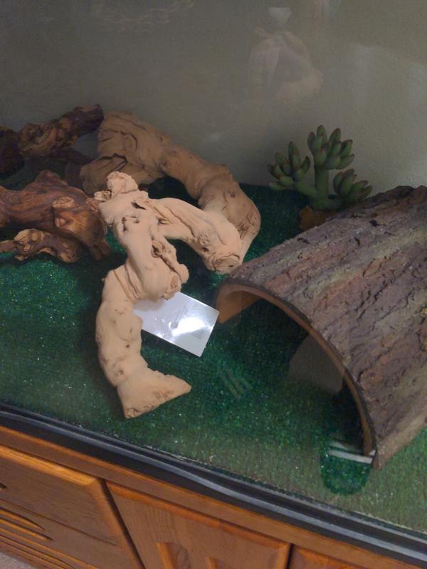 FRISCO Reptile Natural Grapevine Branch