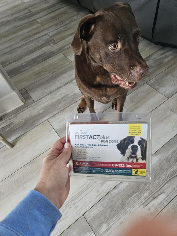 TEVRAPET FirstAct Plus Flea & Tick Spot Treatment for Dogs, 89 - 132lbs ...
