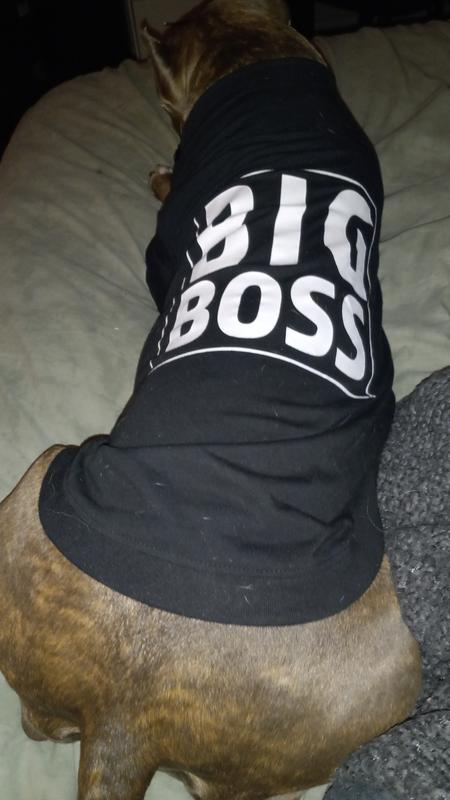 Parisian Pet The Boss Hundeshirt – Lustiges T-Shirt Für Hunde In Größe 4XL