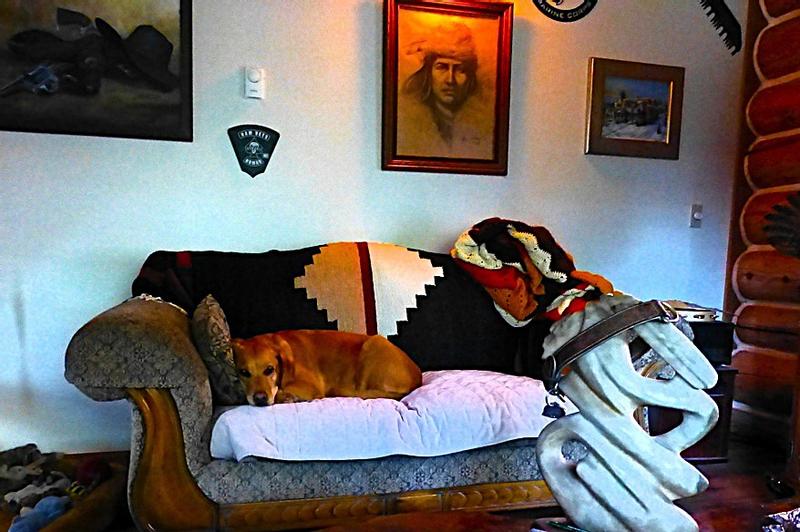 Cass relaxing on the sofa.