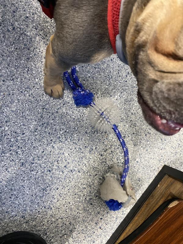 Broken but still on it 😂