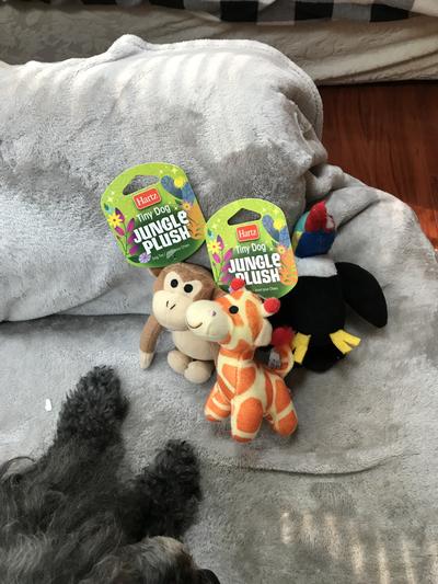 Hartz tiny deals dog jungle plush