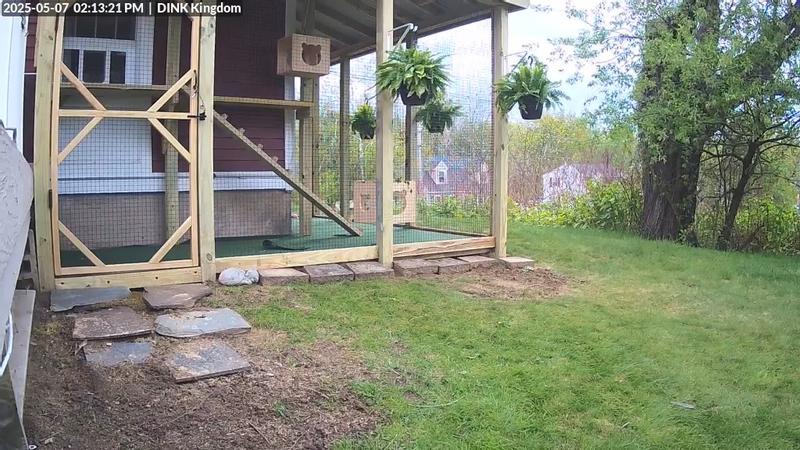 Product as installed to access catio from window