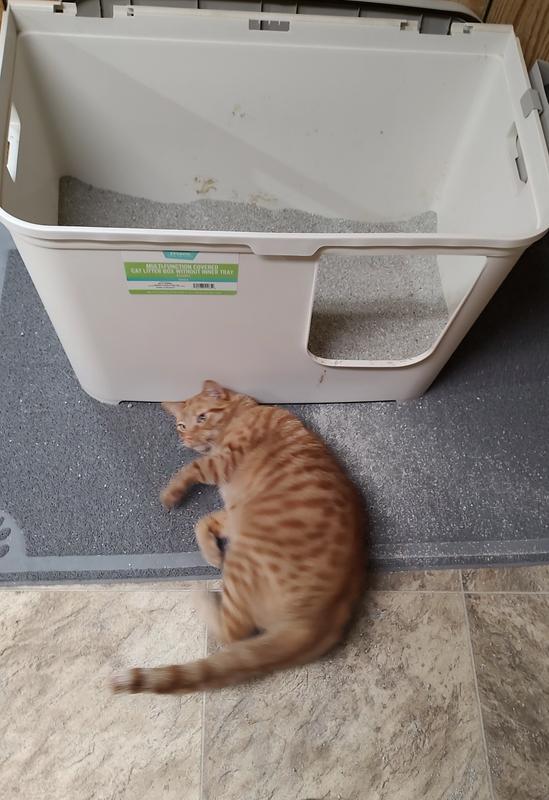 FRISCO Odor Defense Lavender Fields Scented Clumping Clay Cat Litter