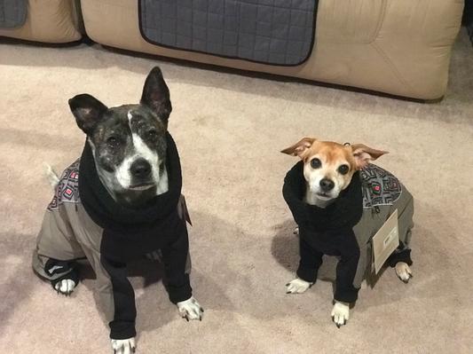 Ultra paws weathermaster snowsuit sales