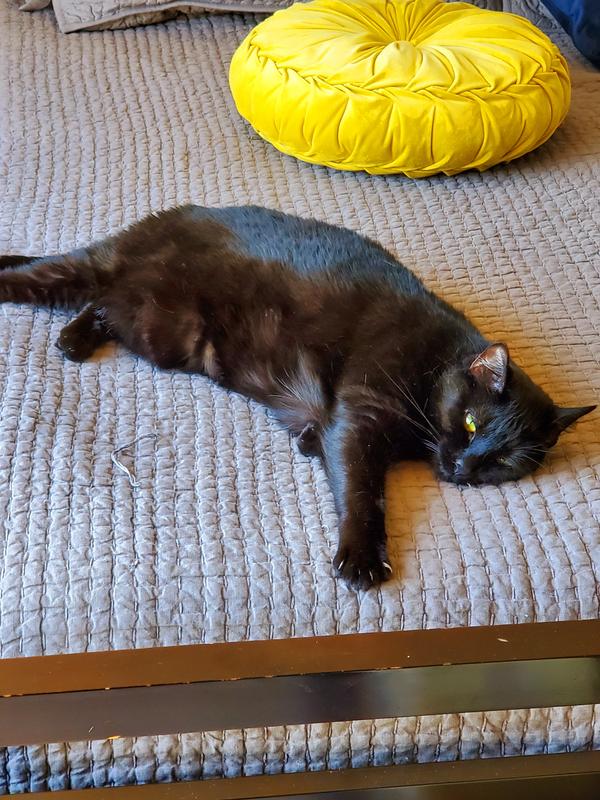 "That's the spot..."