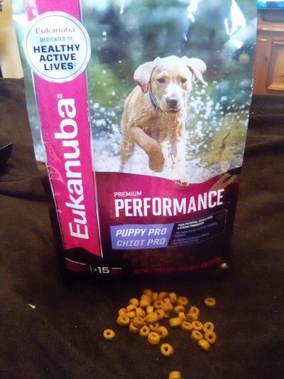 Eukanuba Premium Performance Puppy Pro