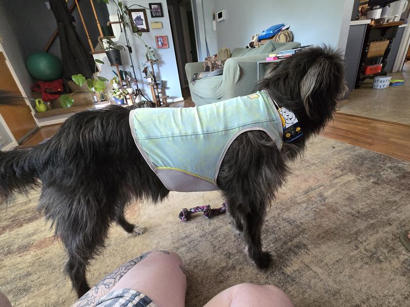 RUFFWEAR Swamp Cooler Zip Dog Vest, Blue Mist, X-Small - Chewy.com