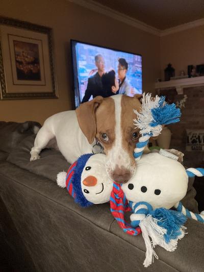 Sadie snowman