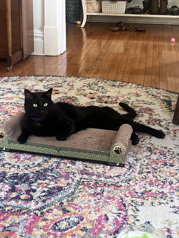 The royal lounge couch