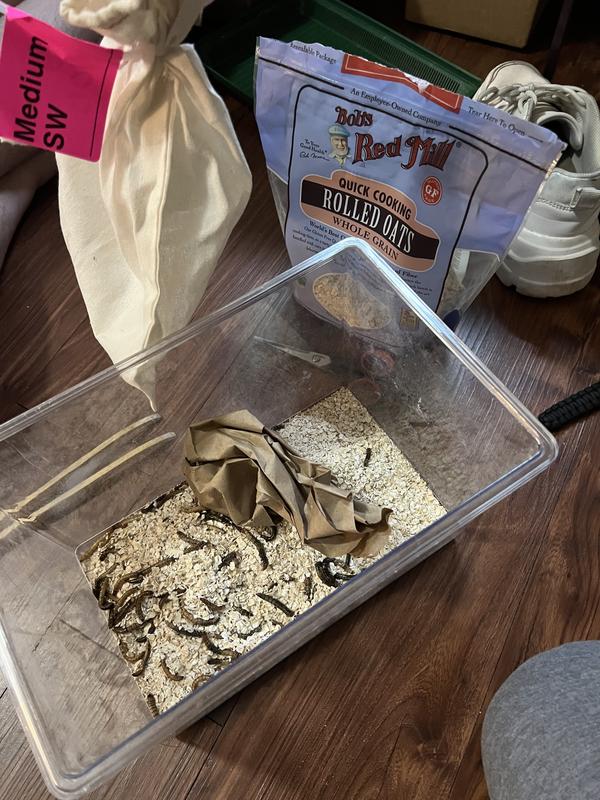 %95 of them are dead. Unacceptable.