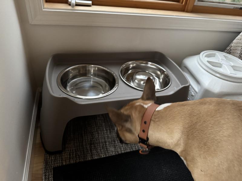 My boy digging his new dish