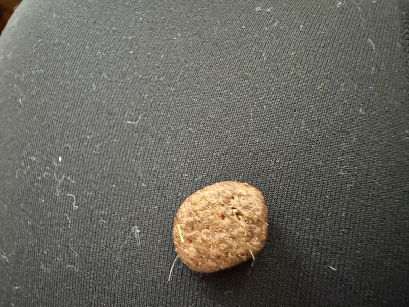 Plastic coming in and out of kibble