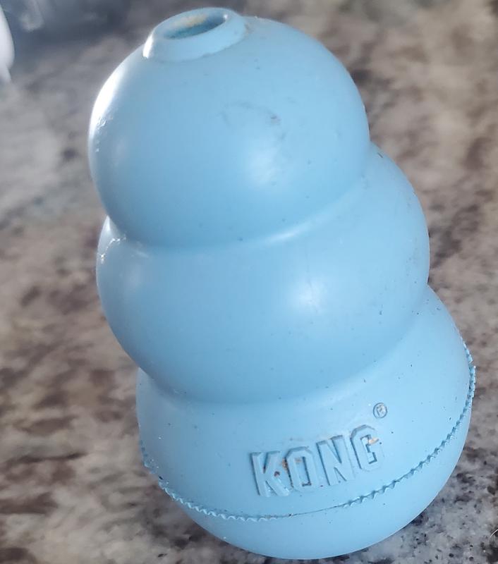 KONG Puppy Blue MEDIUM - Dog Teething Chew Toy & Treat Dispenser 1 ct