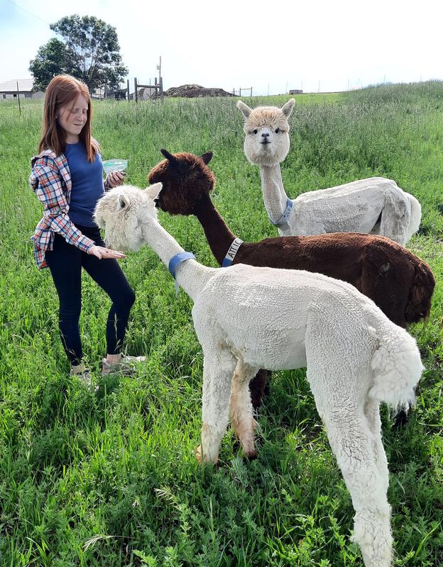 The paca boys just LOOOVE Mazuri pellets!