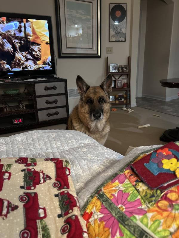 She likes them but doesn’t do well with them.