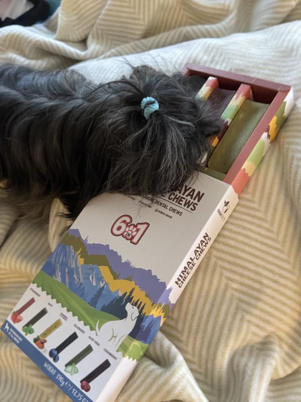 Shanti Mi-Ki gives this a tail wag and double tap four paws