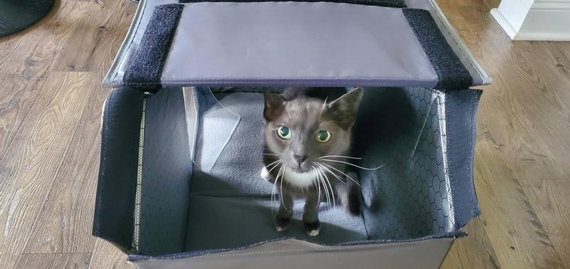 Open roof & velcro setup view