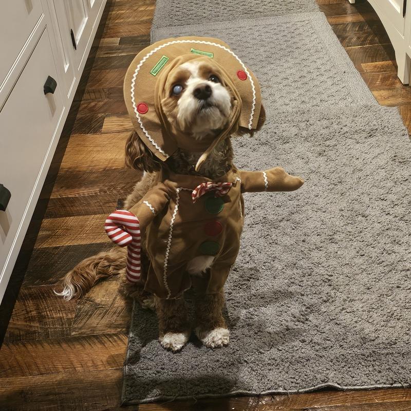 Frisco Front Walking Gingerbread Dog & Cat Costume