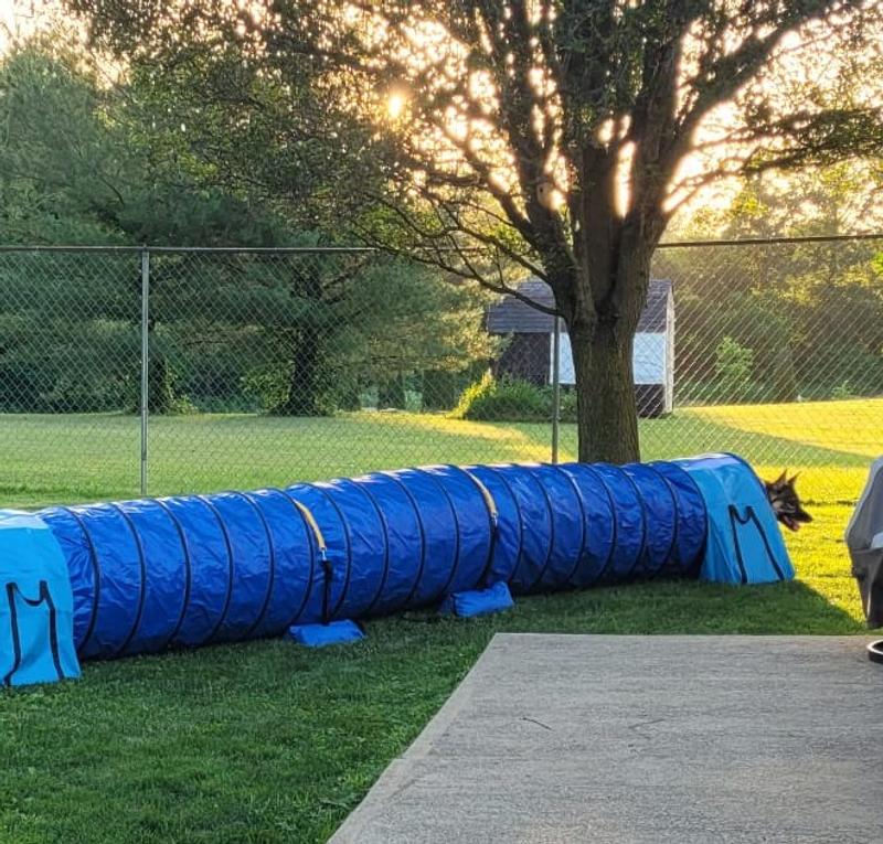 Having structured fun