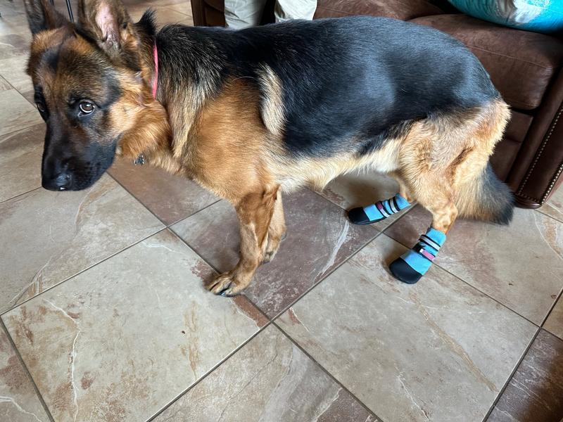 BARK BRITE Lightweight Neoprene Paw Protector Dog Boots, Blue, XLarge