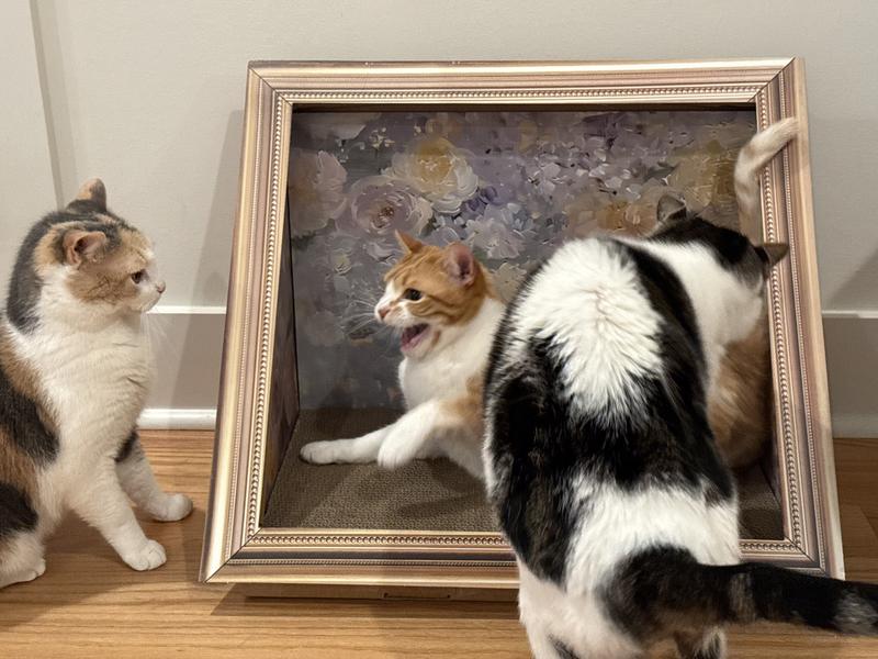 Ok so probably too much fresh catnip