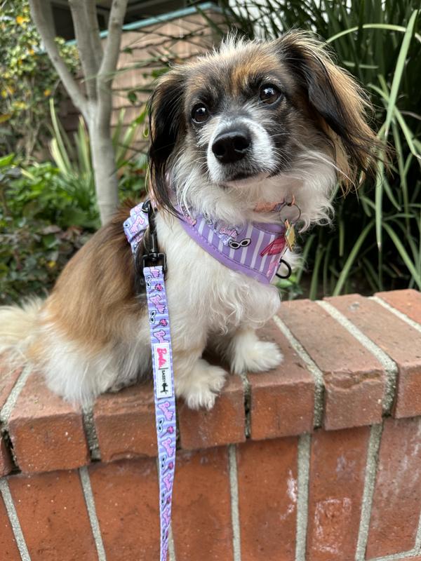 so beautiful and comfortable!