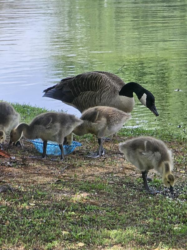 Good to the last drop!