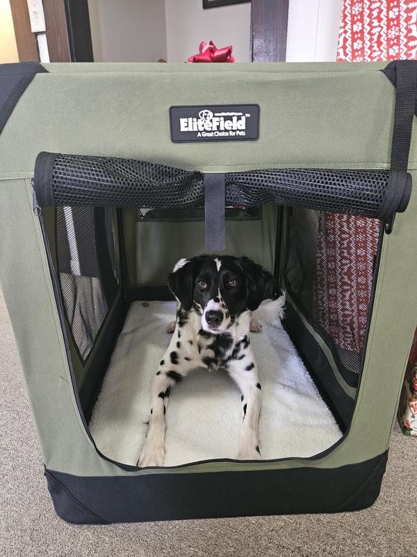 EliteField 3-Door Folding Soft Dog Crate, Green