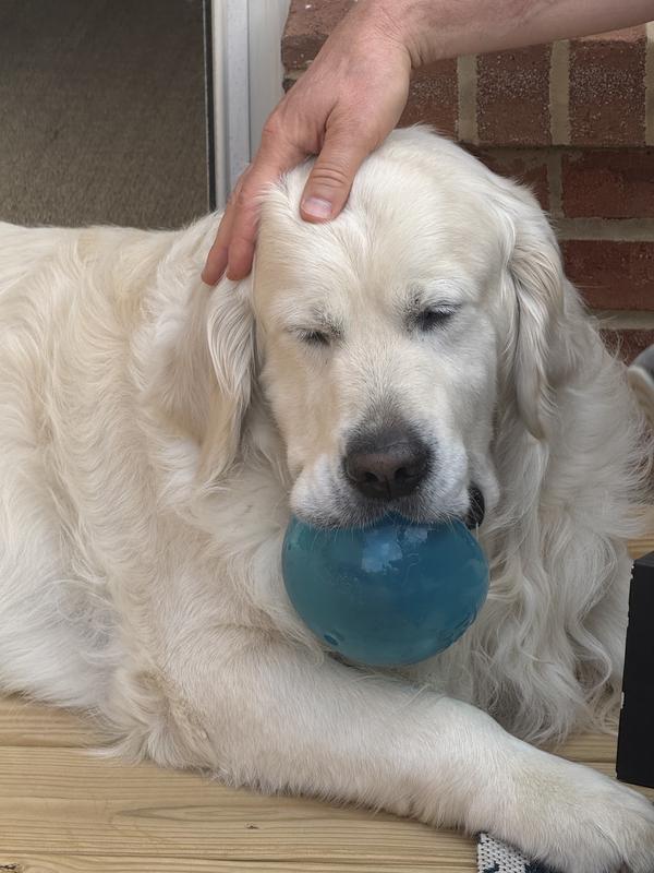 Loves his Snoop.