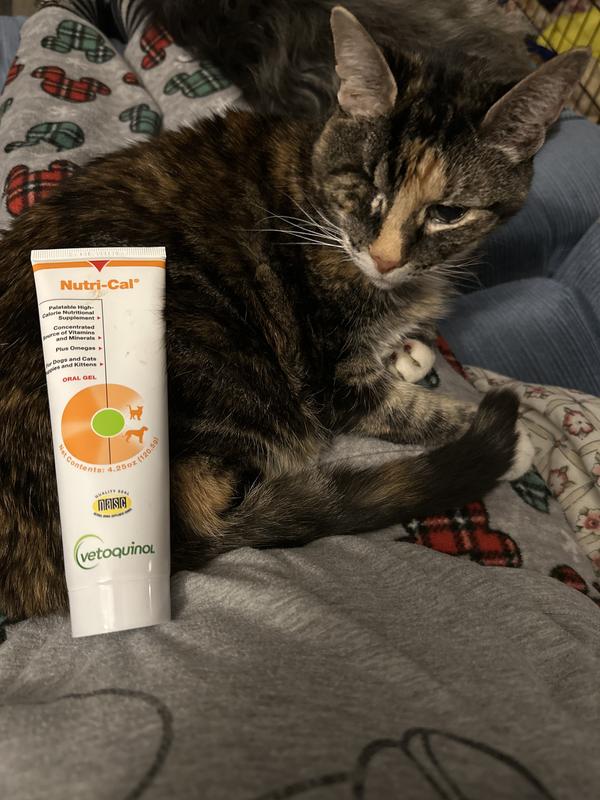 Nutri cal clearance gel for cats