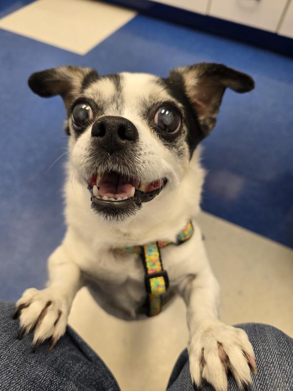 How her pupils supposed to look