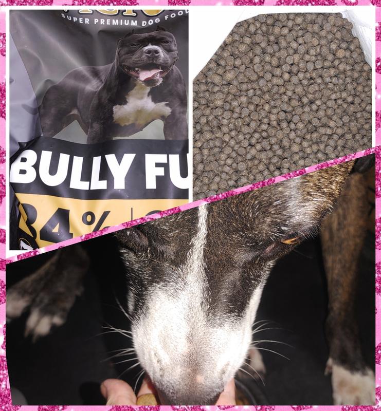 Princess trying Victor Bully Fuel High Protein Dog Food