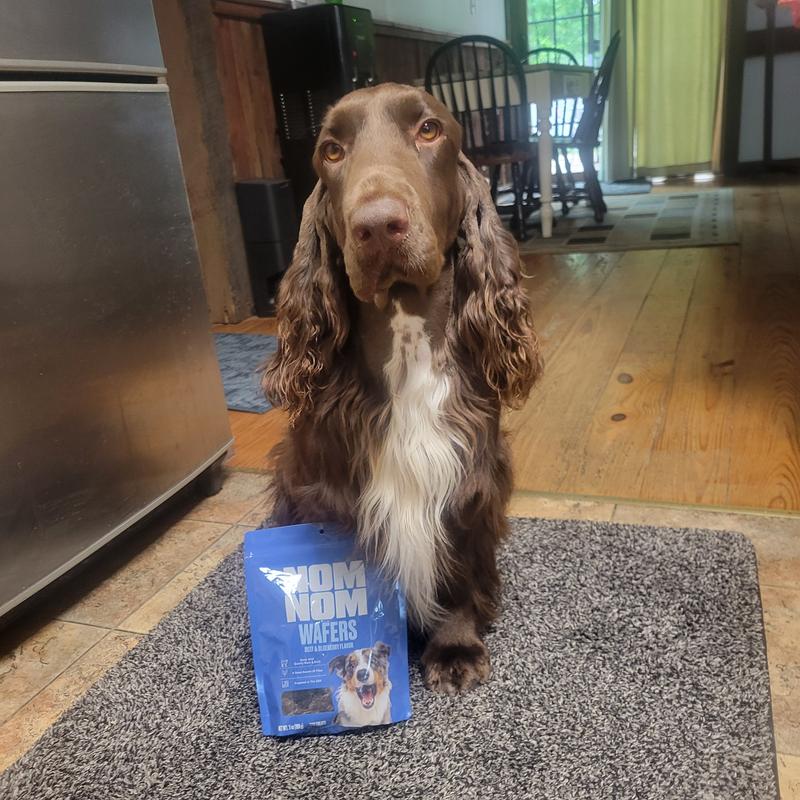 Wally was eager to do this review.