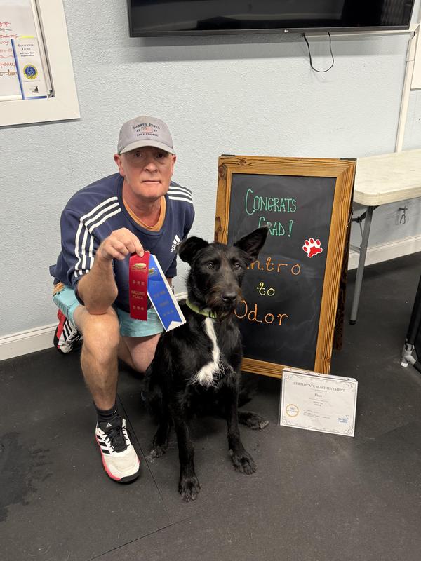 Intro to Odor: 2nd place Final Evening "Sniff Off" 2 min. 18 sec. on course!