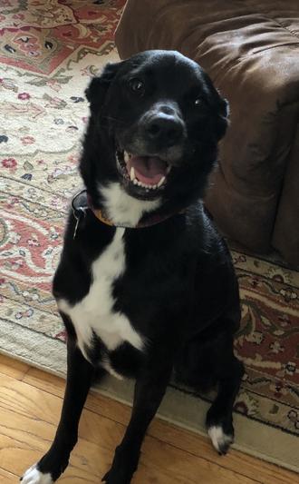 Bring on the next toy!