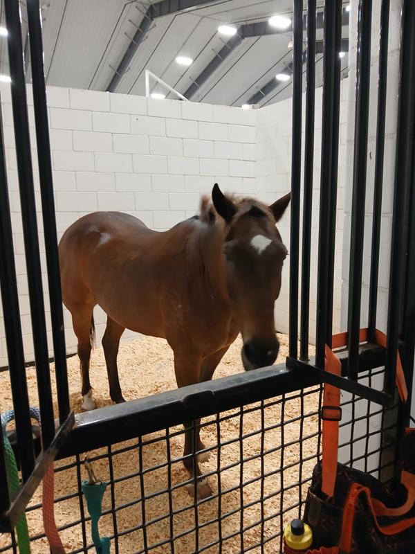 Filling out everywhere calmer healthy spots