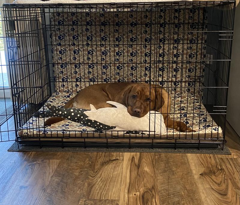 She took it to her kennel