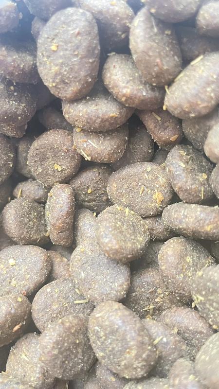 Acana beef and pumpkin