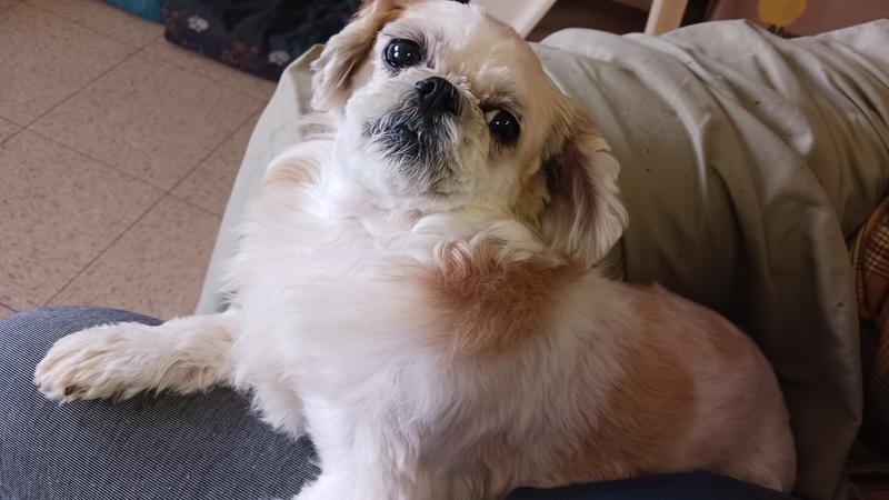 Back to her sassy self.