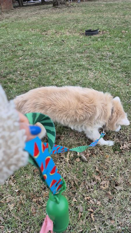 My dog feels very cool in this leash
