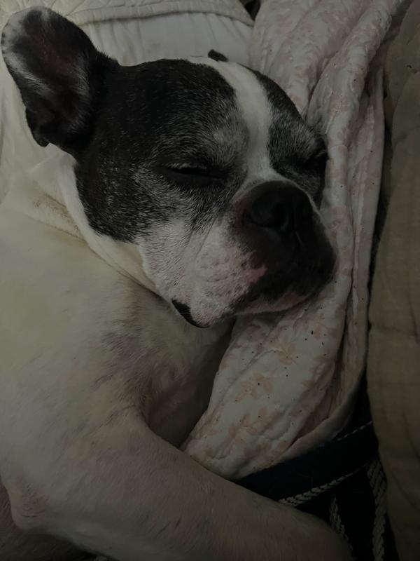 Feeling good after the SILVER HONEY wipes