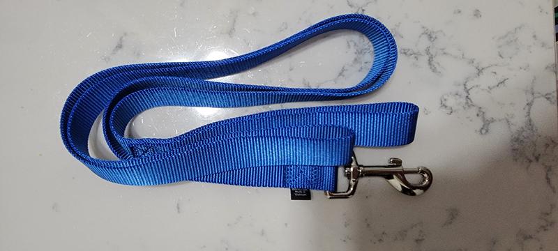 PetSafe Nylon Leash, 1-Inch X 6-Feet, Royal Blue