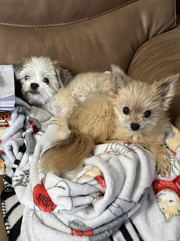 Dolly and Luci