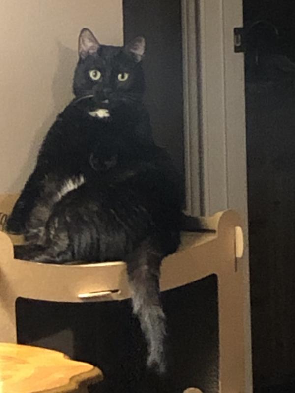 Awwww, it feels good to relax!