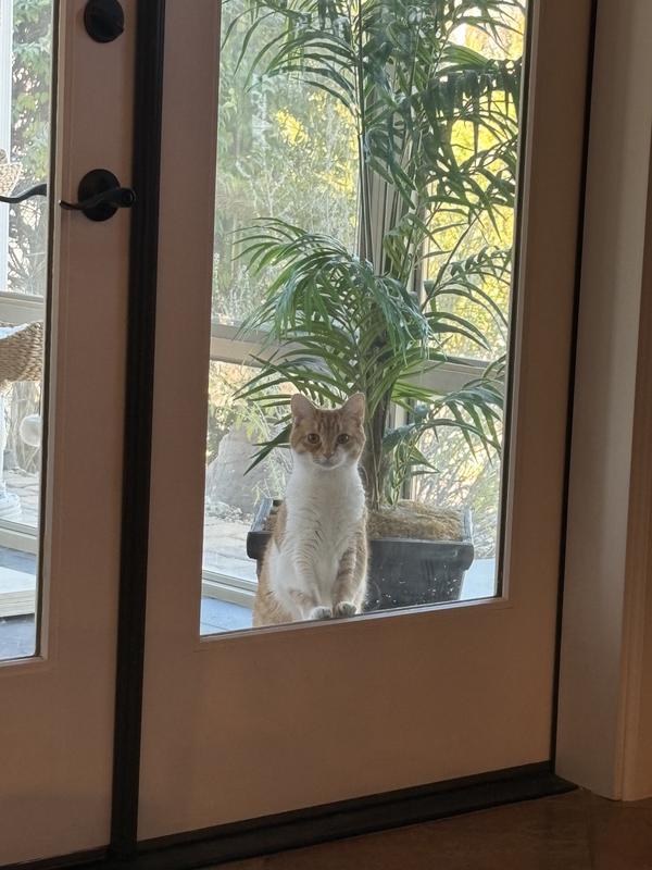 Where’s my dinner?