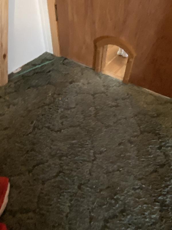 Back view- little feet are investigating the new opening.