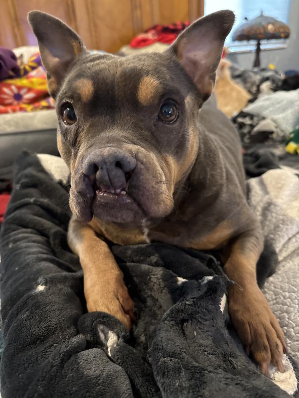 This is Bonnie, she has a double cleft palette.